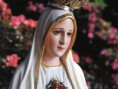 /album/papeis-de-parede/nossa-senhora-de-fatima-3-jpg1/